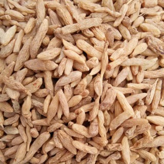 川麦冬各种规格 质量符合药典 大货供应