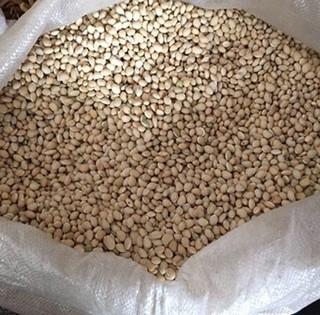 白扁豆 统货 缅甸