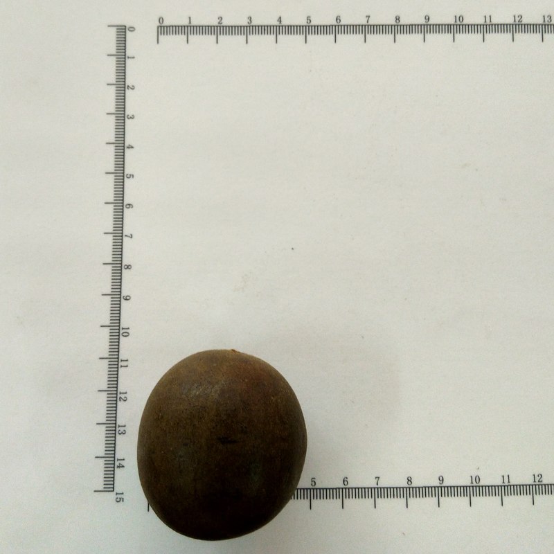 罗汉果直径4.4-4.7 中小个 广西桂林-商品图片