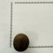 罗汉果直径4.4-4.7 中小个 广西桂林-商品图片01