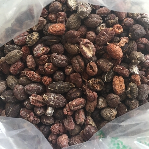 砂仁（壳砂米） 统货 缅甸-商品图片