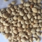 白扁豆（小） 统货 贵州-商品图片02