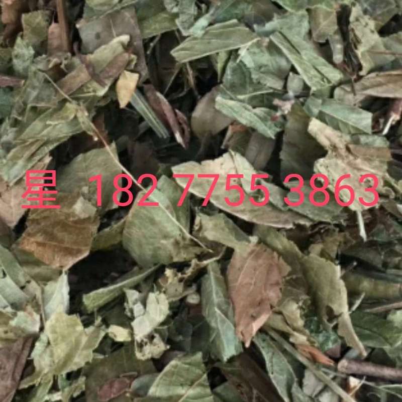 葫芦茶 统货 广西-商品图片