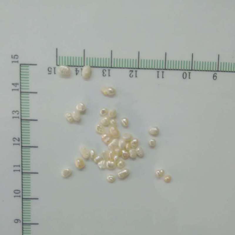 食用珍珠 特大0.2-0.25cm 浙江-商品图片