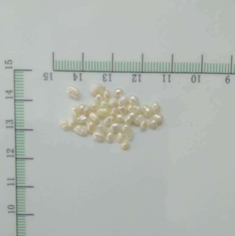 食用珍珠 超大粒0.25-0.3cm 浙江-商品图片