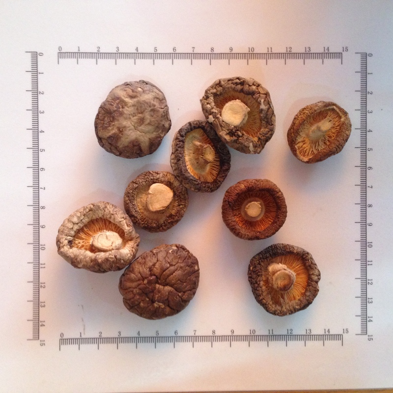 香菇 花菇 广西-商品图片