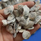 牡蛎 包含量 段牡蛎 安徽-商品图片02