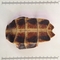 龟甲 草板 云南-商品图片01