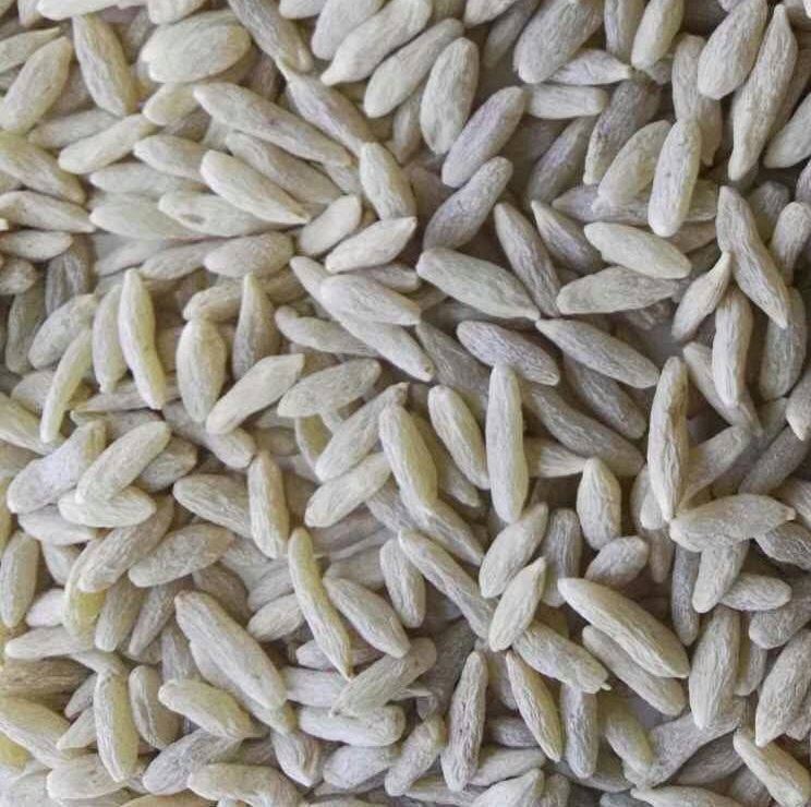 四川优质无硫麦冬、涪地麦冬、精品麦冬-商品图片