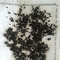 蚂蚁 统 贵州-商品图片01