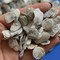 牡蛎 段牡蛎 安徽-商品图片02
