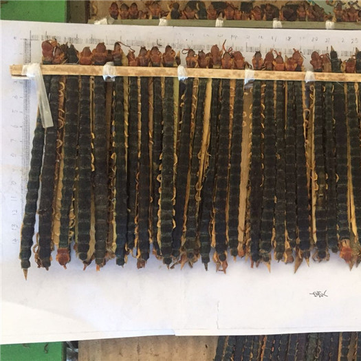 蜈蚣 14-15cm 湖北-商品图片