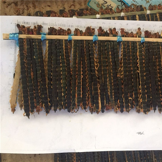 蜈蚣 13-14cm 湖北-商品图片