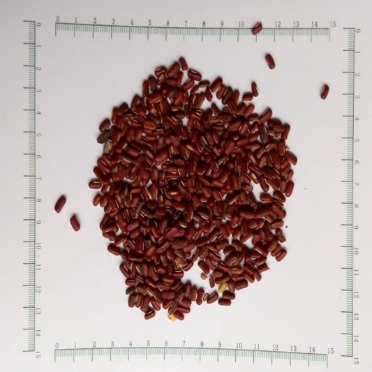 赤小豆 统 贵州-商品图片