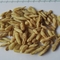 麦冬 120粒（精品白麦冬） 四川-商品图片03