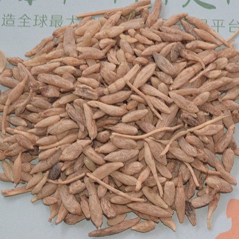 麦冬 投料 1-2级 四川-商品图片