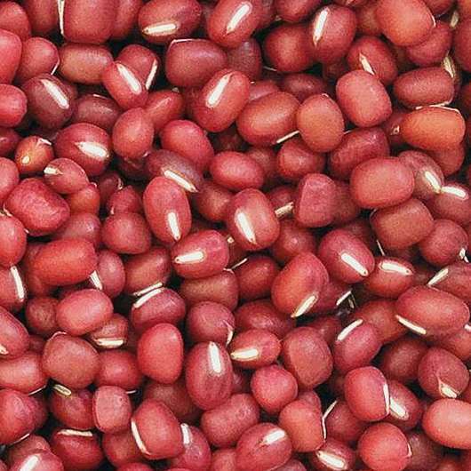 红豆 选货 海南-商品图片