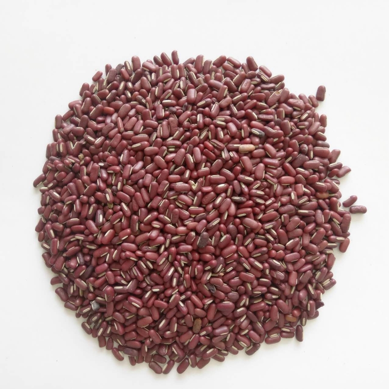 赤小豆 统货 贵州-商品图片