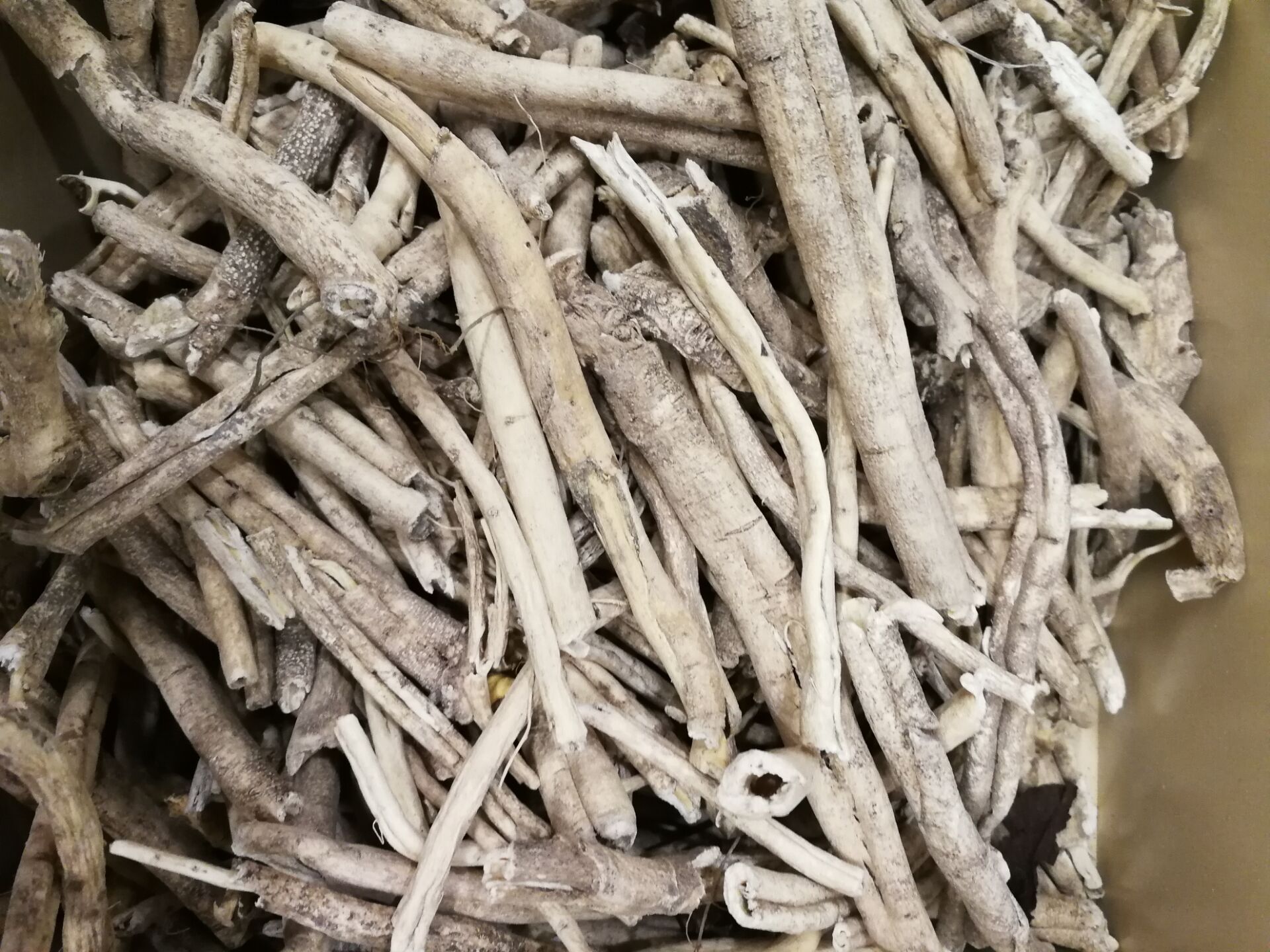 中国白鲜皮网 内蒙古呼伦贝尔，是国内最多的野生白鲜皮种子苗产地。