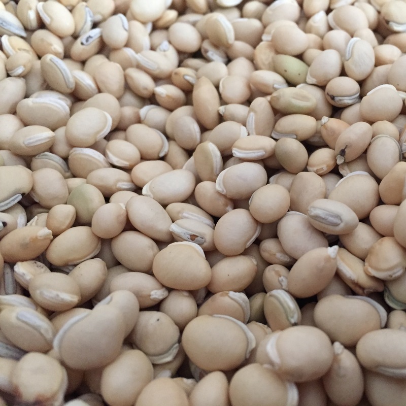 白扁豆 统货 缅甸-商品图片