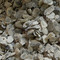 牡蛎 优质 安徽-商品图片03