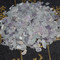 紫石英 优质 安徽-商品图片04