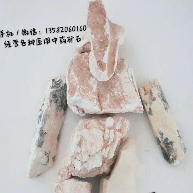 土龙骨 统 内蒙古-商品图片