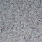 紫石英 优质 安徽-商品图片03
