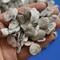 牡蛎 优质 安徽-商品图片02