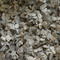 牡蛎 优质 安徽-商品图片03