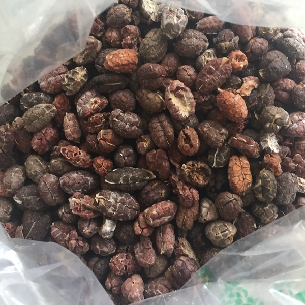 砂仁（壳砂米） 统货 缅甸-商品图片