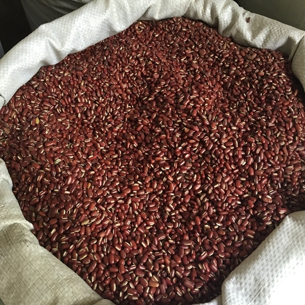 赤小豆 精选 贵州-商品图片