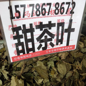 甜茶 选货 广西-商品图片