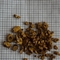 黄芩 0.4 陕西-商品图片03