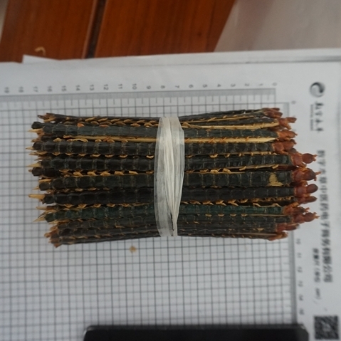 蜈蚣 14cm 湖北-商品图片
